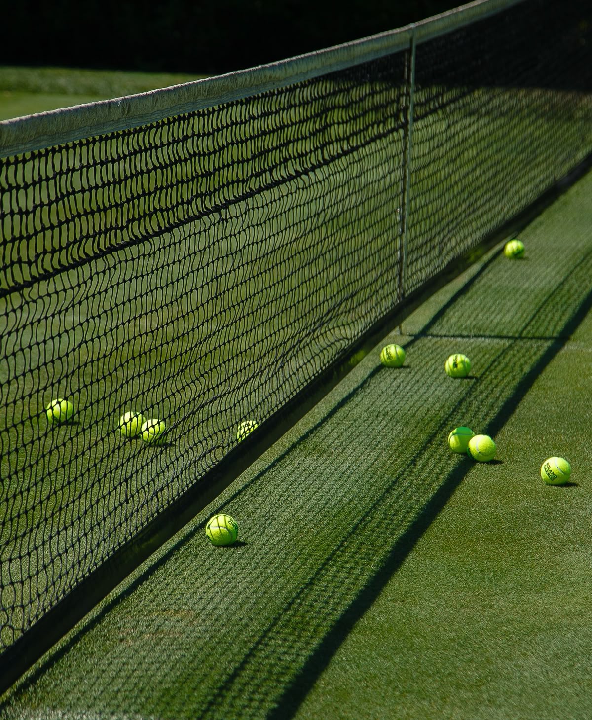 The Fitness Glow: How Movement and Nutrition Work Hand-in-Hand