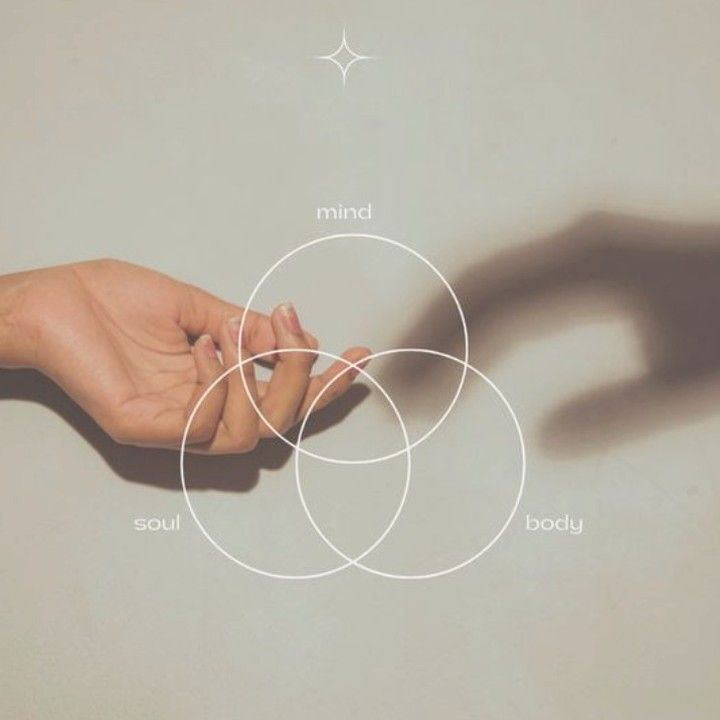 The Intricate Connection Between Mind, Skin, Body, and Gut: A Holistic Approach to Wellness