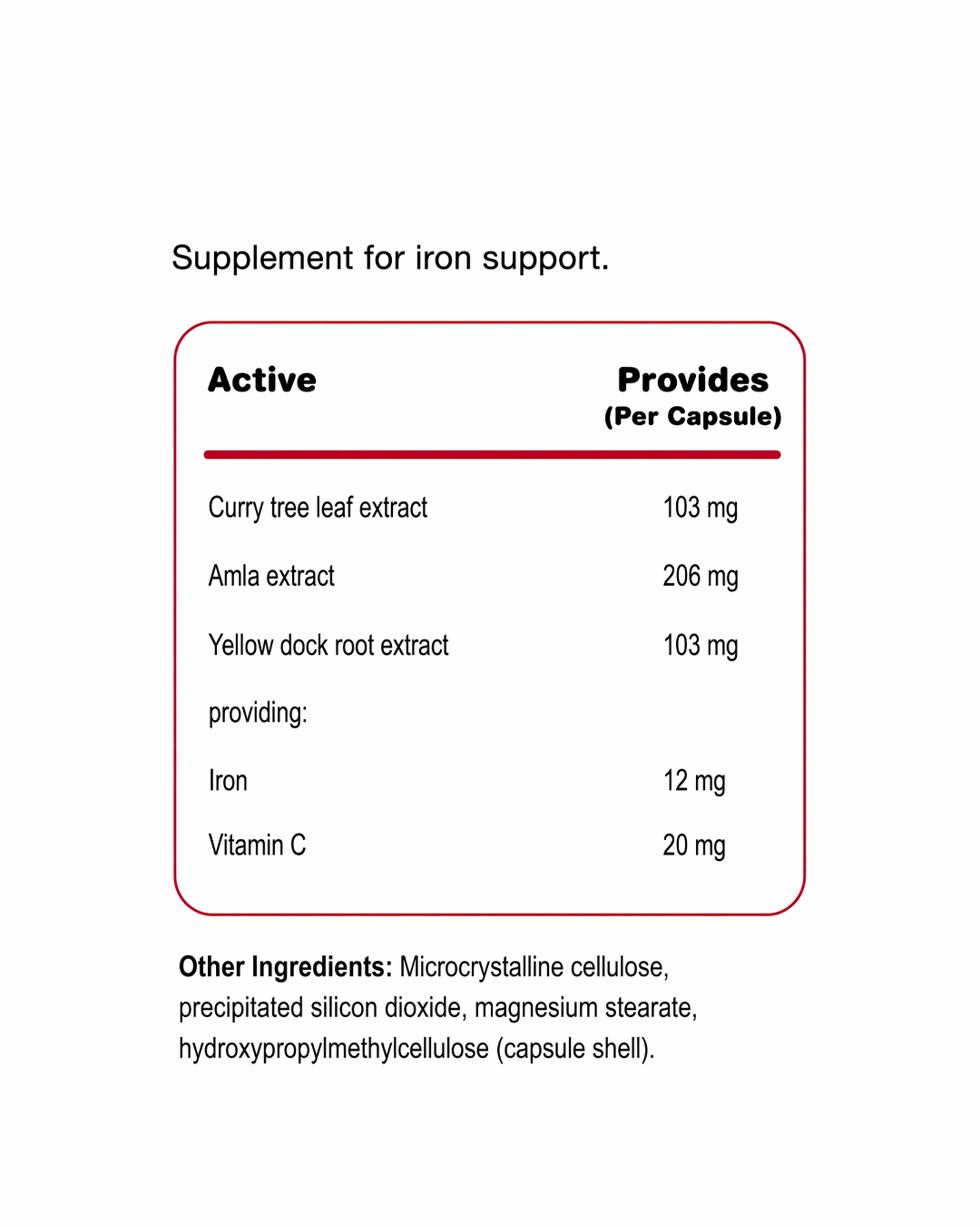 Bio Iron | 60 capsules | Food First Iron supplement