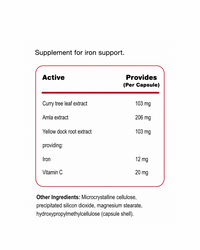 Bio Iron | 60 capsules | Food First Iron supplement